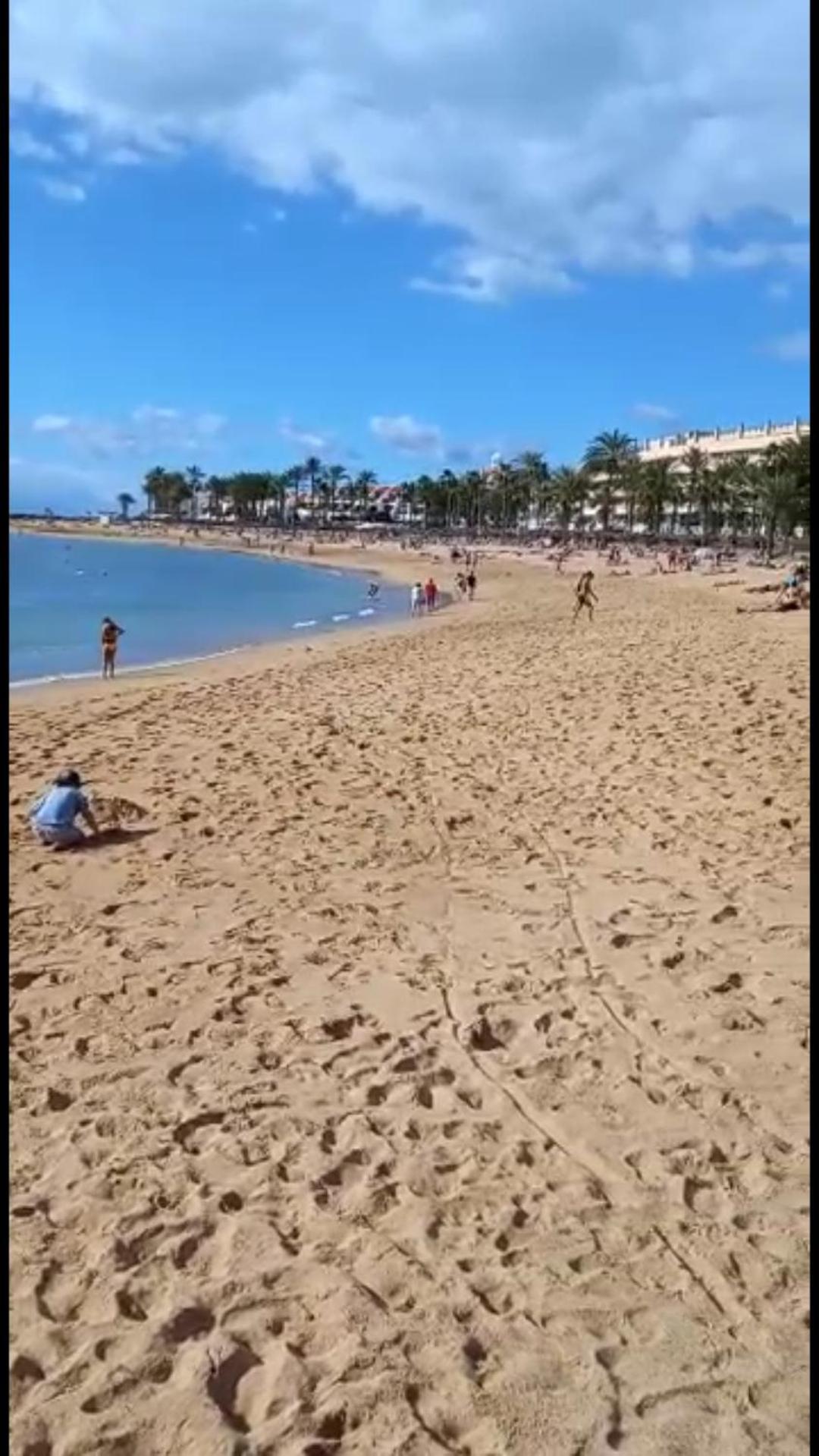 Chill Out Tenerife Sud - Monolocale Con Piscina Riscaldata Costa Del Silencio Exterior photo